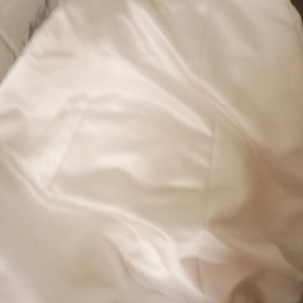 Michealangelo wedding dress